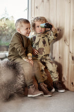 Load image into Gallery viewer, plains