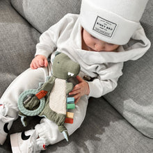 Load image into Gallery viewer, dino crinkle